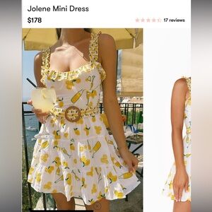 Show Me Your Mumu Size S Jolene Mini Dress Limoncello Embroidery